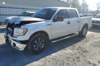 1FTFW1CF4EKE16272 | 2014 FORD F150 SUPER