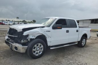 1FTFW1CF7EKE53011 | 2014 FORD F150 SUPER