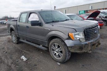 1FTFW1EF1EFC29044 | 2014 FORD F-150