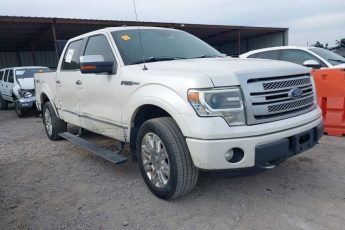 1FTFW1EF2DFB20056 | 2013 FORD F-150