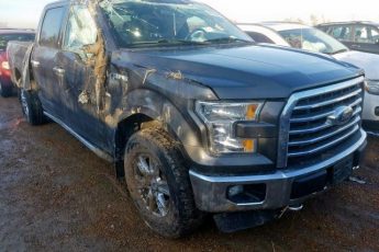 1FTFW1EF3FFB73206 | 2015 FORD F150 SUPER