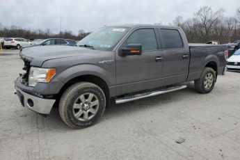 1FTFW1EF5EFC49300 | 2014 FORD F150 SUPER