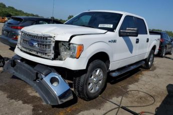 1FTFW1EF6EKE10471 | 2014 FORD F150 SUPER