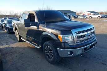 1FTFW1EF7DKD78662 | 2013 FORD F-150