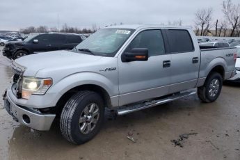 1FTFW1EF8EFB43374 | 2014 FORD F150 SUPER