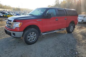 1FTFW1EF9EKF28725 | 2014 FORD F150 SUPER