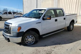 1FTFW1ET0EKG51125 | 2014 FORD F150 SUPER