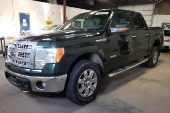 1FTFW1ET2EKE32425 | 2014 FORD F150 SUPER