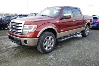 1FTFW1ET4EKE90813 | 2014 FORD F150 SUPER