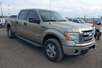 1FTFW1ET7DKE12623 | 2013 FORD F-150