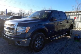 1FTFW1ET7EFB83094 | 2014 FORD F150 SUPER