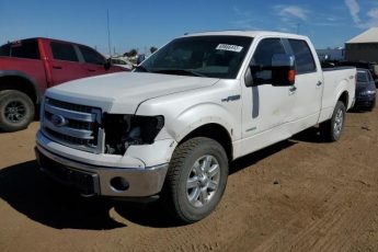 1FTFW1ET7EKF49028 | 2014 FORD F150 SUPER