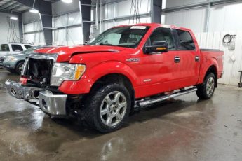 1FTFW1ET8EKF25031 | 2014 FORD F150 SUPER