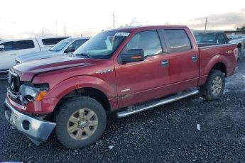 1FTFW1ET8EKG57898 | 2014 FORD F150 SUPER