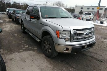 1FTFW1ET9DFC60496 | 2013 FORD F-150