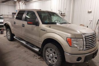 1FTFW1EV2AFC28597 | 2010 FORD F-150