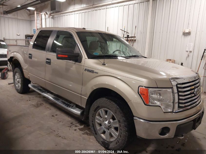 1FTFW1EV2AFC28597 | 2010 FORD F-150