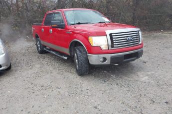 1FTFW1EVXAFD16880 | 2010 FORD F-150