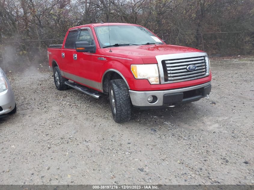 1FTFW1EVXAFD16880 | 2010 FORD F-150