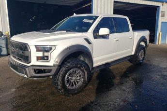 1FTFW1RGXKFC86213 | 2019 FORD F150 RAPTO