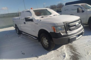 1FTFX1ET2DKE41475 | 2013 FORD F-150