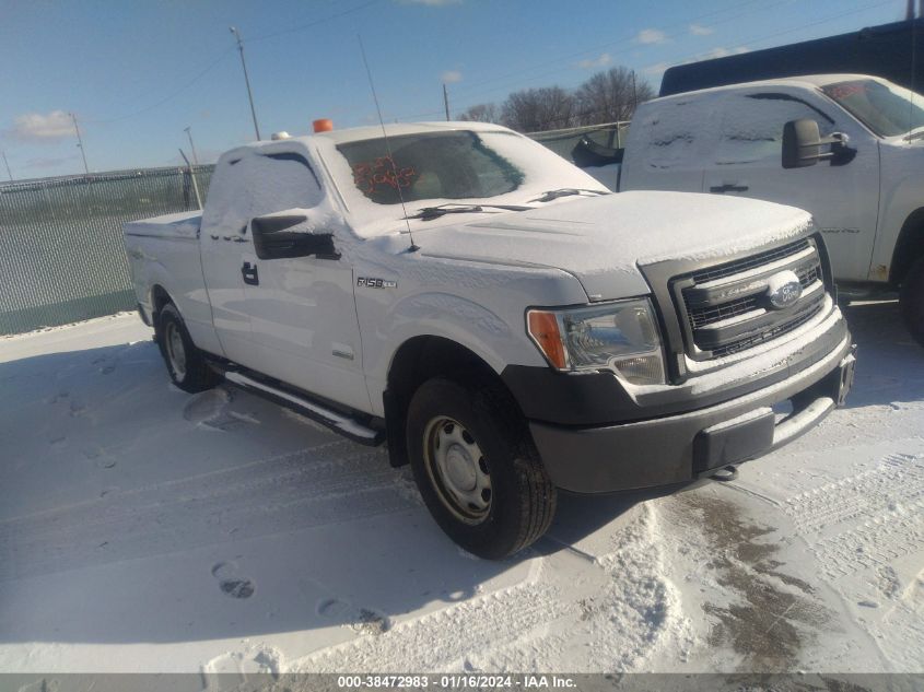 1FTFX1ET2DKE41475 | 2013 FORD F-150