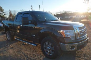 1FTFX1ET8BFA92702 | 2011 FORD F-150