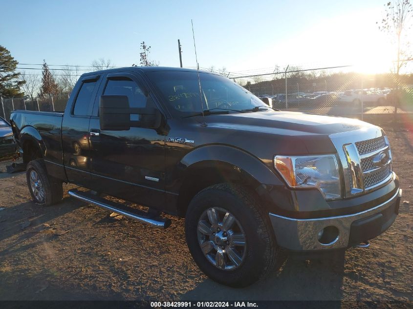 1FTFX1ET8BFA92702 | 2011 FORD F-150