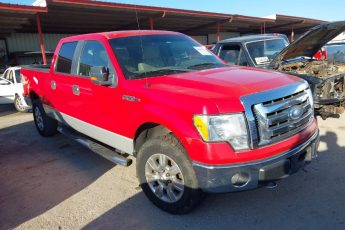 1FTRW14829FA91374 | 2009 FORD F-150