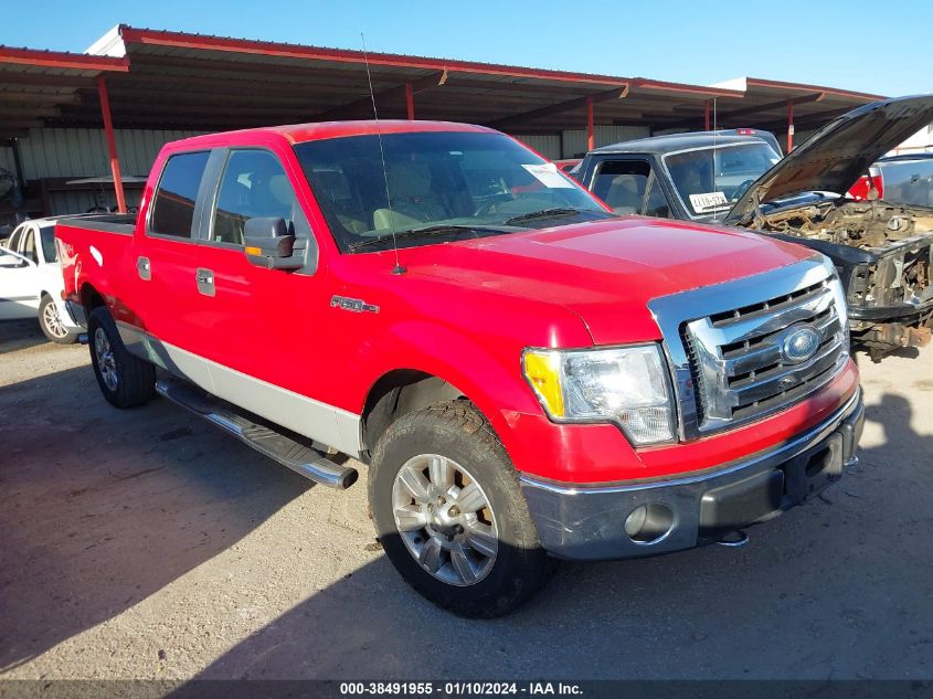 1FTRW14829FA91374 | 2009 FORD F-150