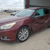 1N4AA6DV8LC361494 | 2020 NISSAN MAXIMA SL