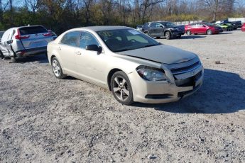 1G1ZB5EB7AF109281 | 2010 CHEVROLET MALIBU