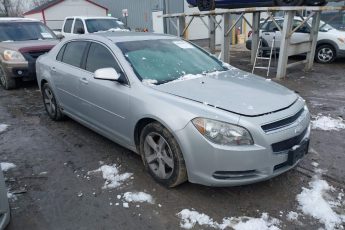 1G1ZC5EU0BF303294 | 2011 CHEVROLET MALIBU