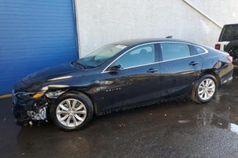 1G1ZD5ST4PF183497 | 2023 CHEVROLET MALIBU LT