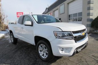 1GCHSCEA7L1229127 | 2020 CHEVROLET COLORADO L