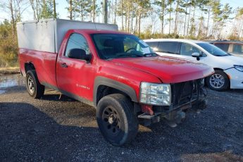 1GCNCPEX8BZ429199 | 2011 CHEVROLET SILVERADO 1500