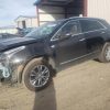 4T1F11BK5PU082124 | 2023 TOYOTA CAMRY XLE