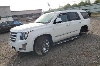 1GYS4BKJ6KR379626 | 2019 CADILLAC ESCALADE