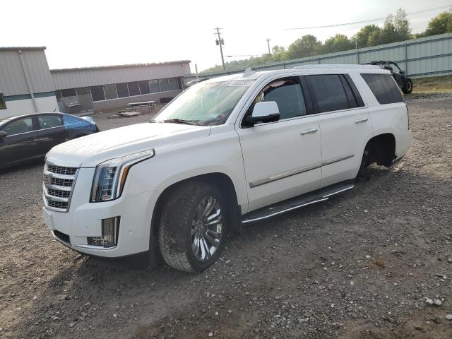 1GYS4BKJ6KR379626 | 2019 CADILLAC ESCALADE