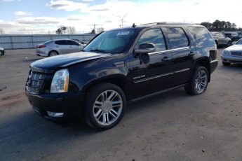 1GYS4CEF4ER205636 | 2014 CADILLAC ESCALADE P