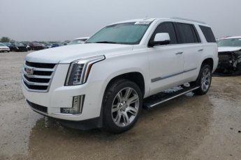 1GYS4CKJ3KR150343 | 2019 CADILLAC ESCALADE P