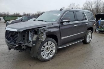 1GYS4DKJ9GR327698 | 2016 CADILLAC ESCALADE P