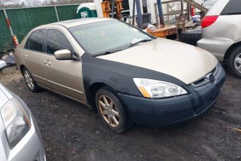 1HGCM66564A094894 | 2004 HONDA ACCORD