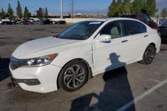 1HGCR2F89HA230686 | 2017 HONDA ACCORD EXL