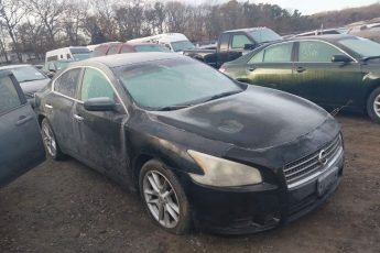 1N4AA51E99C824587 | 2009 NISSAN MAXIMA