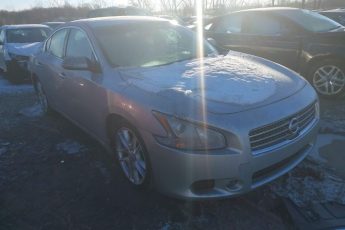 1N4AA5AP2AC853337 | 2010 NISSAN MAXIMA