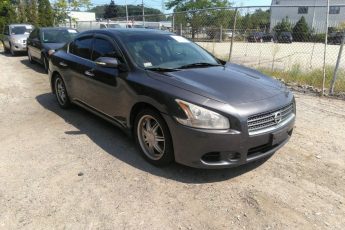 1N4AA5AP5AC833325 | 2010 NISSAN MAXIMA