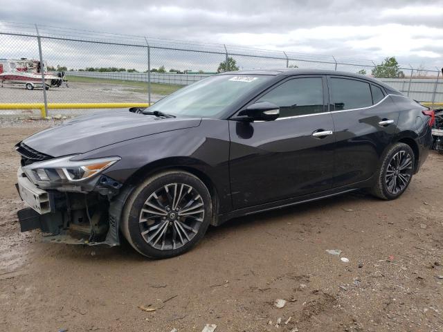 1N4AA6AP2GC378688 | 2016 NISSAN MAXIMA 3.5