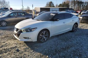 1N4AA6AP6GC427262 | 2016 NISSAN MAXIMA 3.5