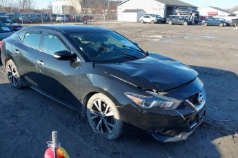 1N4AA6AP7HC442824 | 2017 NISSAN MAXIMA